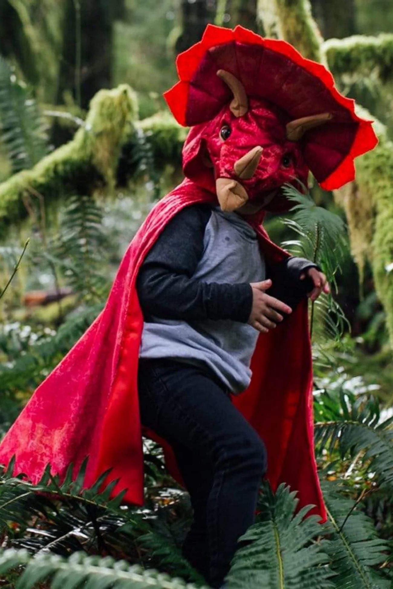Triceratops Hooded Cape, Red 4/5