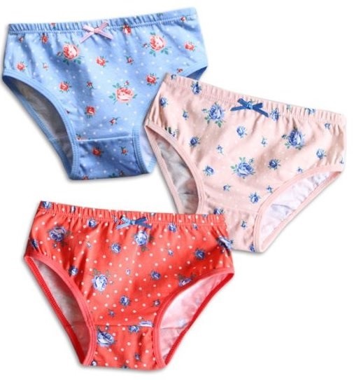 Flower Garden Girls Bikini Briefs 3 Pack Underwear-XL 6-7T