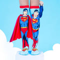 SUPERMAN SOCKS-6 AND UP