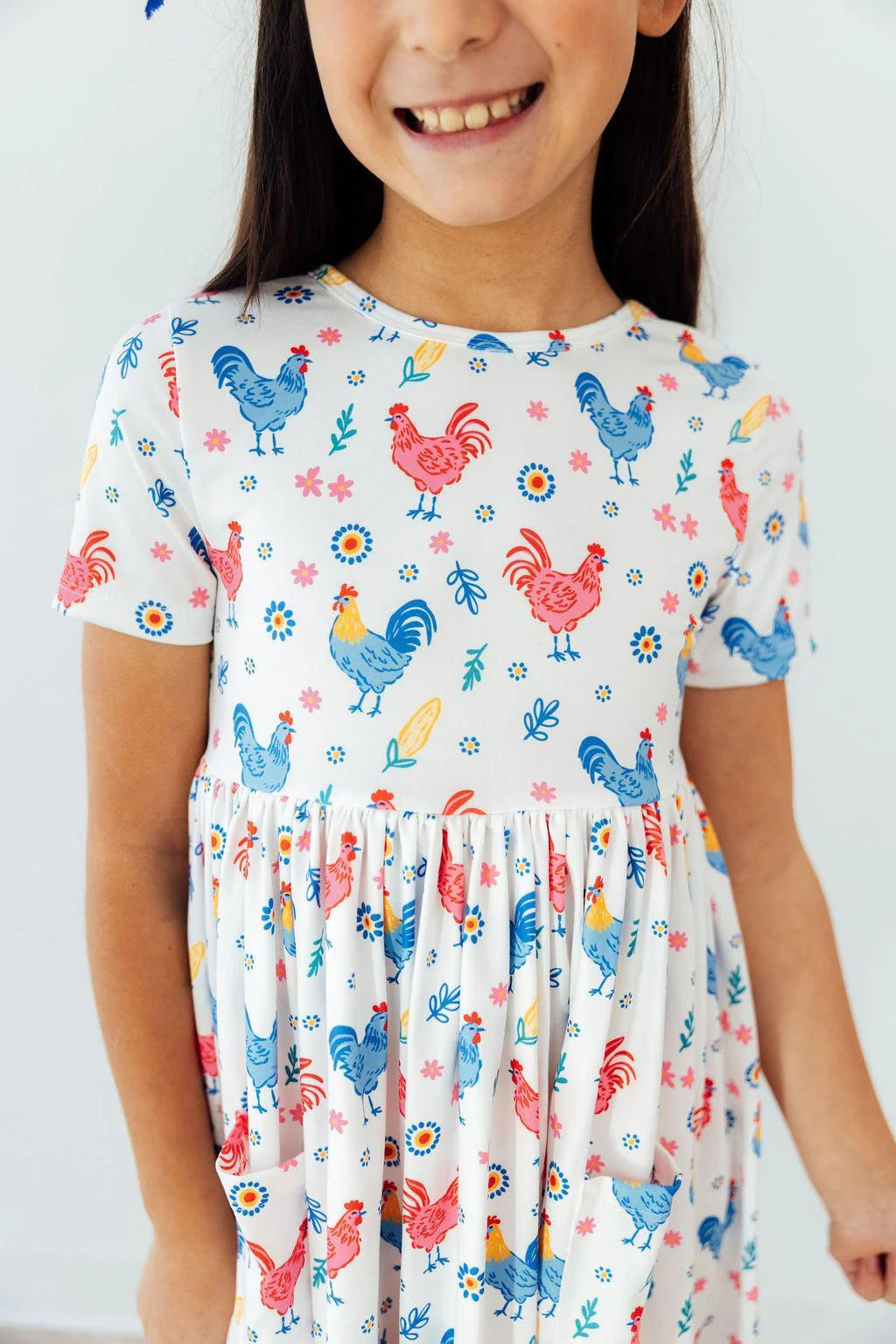 Rainbow Roosters S/S Pocket Twirl Dress 3T